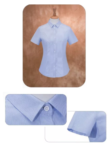 YL-263蓝条女短袖衬衫